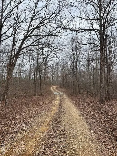 Highway T Forest Road 3697, Poplar Bluff, MO 63901