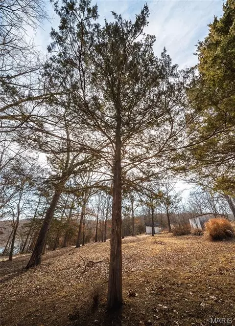 1336 Hartshorn Dr, Hermann, MO 65041 photo 33