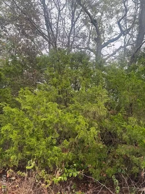 lot6 Tulley Rd, New Haven, MO 63068