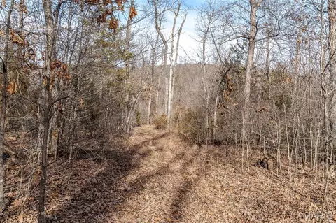 Other - 85 Acers Hwy 19 -leweke Ln, Hermann, MO 65041 photo 16 of 17