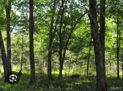 Other - 85 Acers Hwy 19 -leweke Ln, Hermann, MO 65041 photo 2 of 17