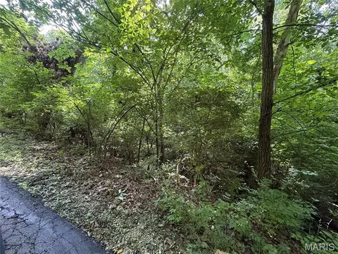 168 Cherokee Ct, Pacific, MO 63069 photo 13