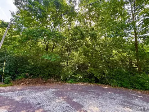 168 Cherokee Ct, Pacific, MO 63069 photo 15