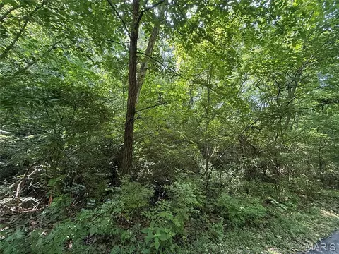 168 Cherokee Ct, Pacific, MO 63069 photo 14