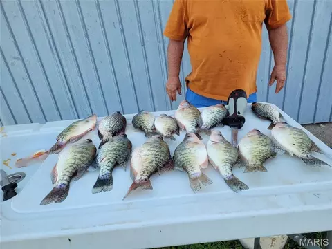 0 Monroe Road 581, Perry, MO 63462 photo 5