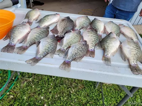 0 Monroe Road 581, Perry, MO 63462 photo 4