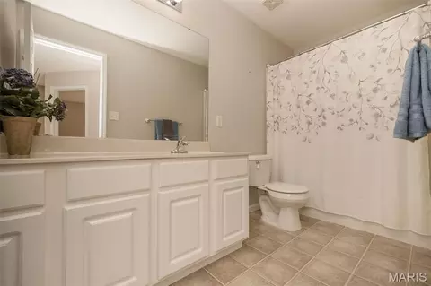 Bath - 6827 Eagles Landing Ct, Pacific, MO 63069 photo 3 of 4