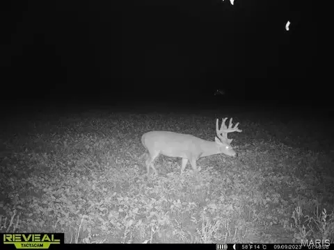 000 E Rileyville Rd, Dix, IL 62830 photo 13