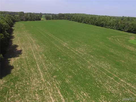 000 E Rileyville Rd, Dix, IL 62830 photo 5