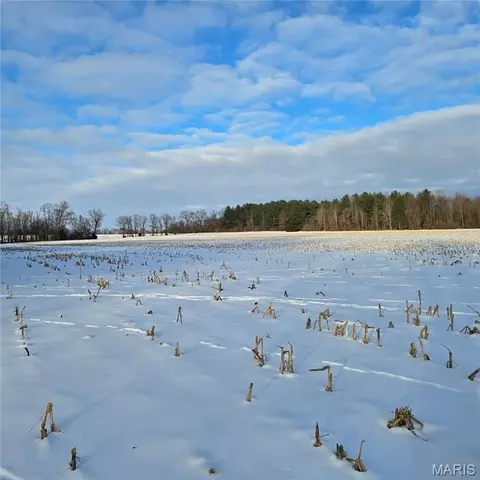 000 E Rileyville Rd, Dix, IL 62830 photo 6