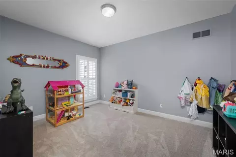 787 Thunder Hill Dr, O'fallon, MO 63368 photo 21
