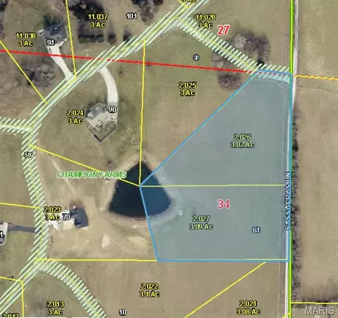 8 Northern Dancer Dr, Troy, MO 63379 photo 10