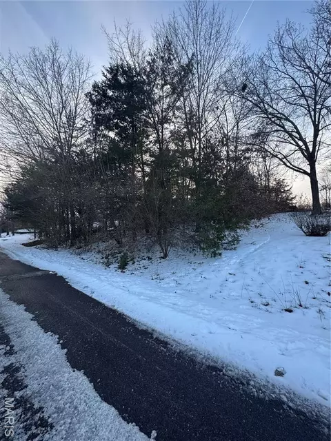 445 Lake Shore Dr, Saint Clair, MO 63077