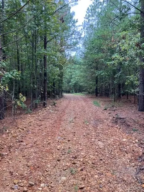 195 Madison Cr 410, Fredericktown, MO 63645