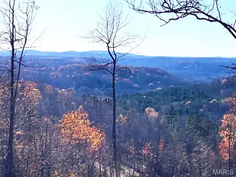 197 Madison Cr 410, Fredericktown, MO 63645