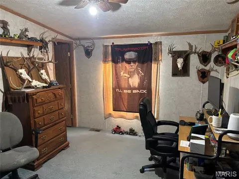 Other - 13449 Highway J, Conway, MO 65632 photo 6 of 17