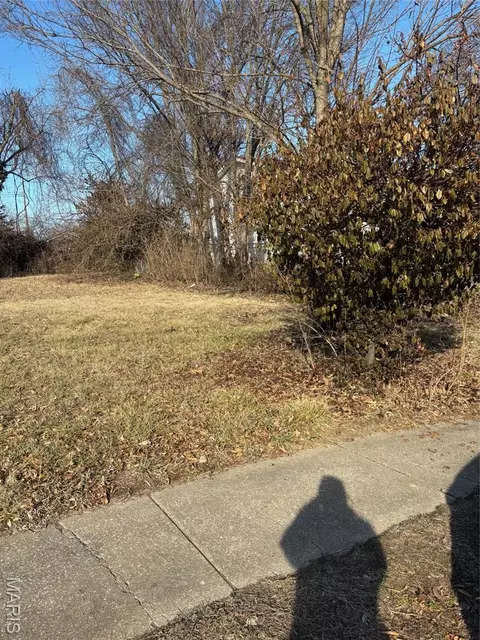 335 Electric St, Kirkwood, MO 63122