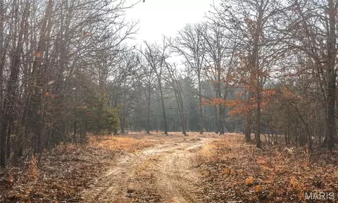 Other - 3490 County Road 6220, Jadwin, MO 65501 photo 31 of 49