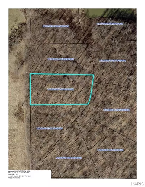 lot3 Heritage Farm Ln, Jackson, MO 63755