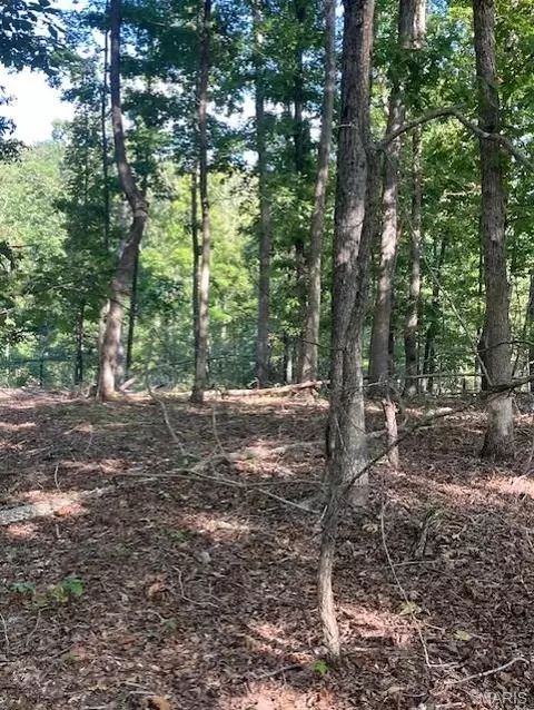 199 Madison Cr 410, Fredericktown, MO 63645 photo 3