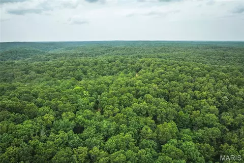 0 County Road 6280 Tract 1, Jadwin, MO 65502 photo 15