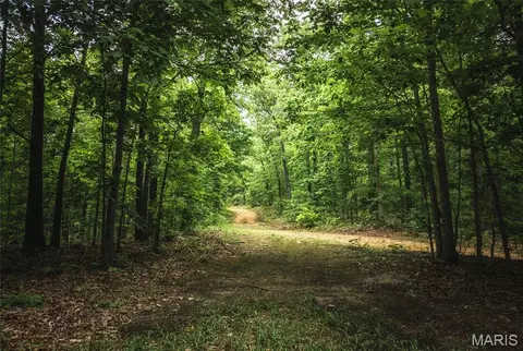 0 County Road 6280 Tract 1, Jadwin, MO 65502 photo 19