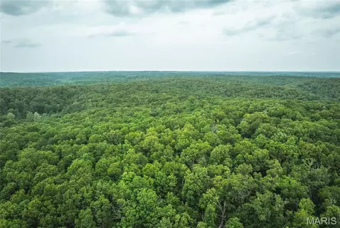 0 County Road 6280 Tract 2, Jadwin, MO 65502 photo 16