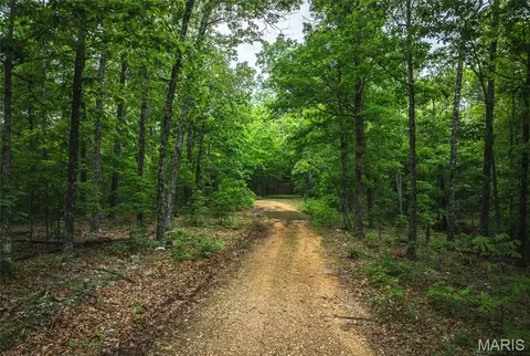 0 County Road 6280 Tract 2, Jadwin, MO 65502 photo 6