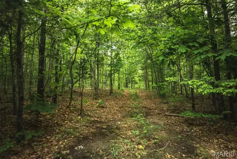 0 County Road 6280 Tract 2, Jadwin, MO 65502 photo 8