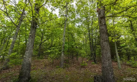 0 County Road 6280 Tract 2, Jadwin, MO 65502 photo 14