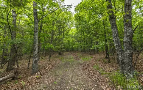 0 County Road 6280 Tract 2, Jadwin, MO 65502 photo 15