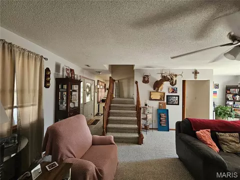 Other - 708 E Walnut St, Steeleville, IL 62288 photo 10 of 15