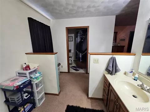 Other - 708 E Walnut St, Steeleville, IL 62288 photo 13 of 15