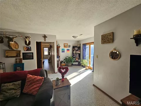 Other - 708 E Walnut St, Steeleville, IL 62288 photo 11 of 15
