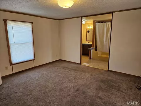 714 E Feifer St, Sparta, IL 62286 photo 9