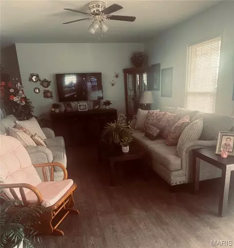 Other - 402 Damon St, Dexter, MO 63841 photo 2 of 5