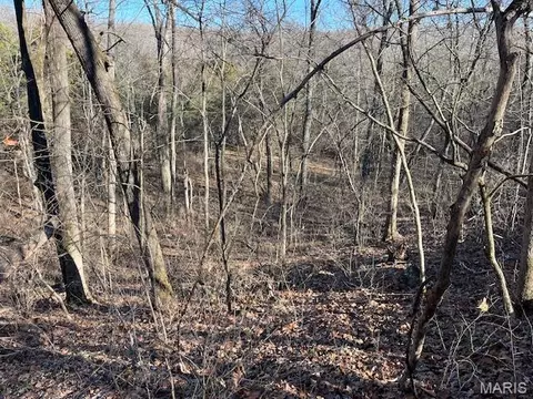 Other - 111 Highway Bb, Iberia, MO 65486 photo 34 of 68