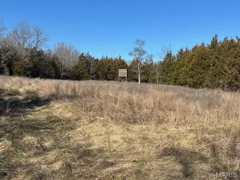 Other - 111 Highway Bb, Iberia, MO 65486 photo 37 of 68