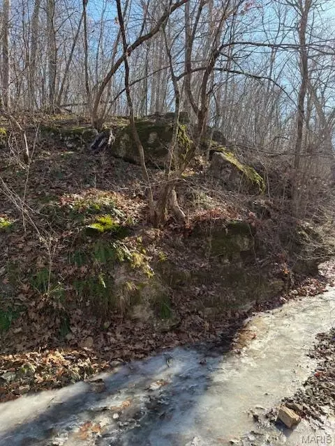 Other - 111 Highway Bb, Iberia, MO 65486 photo 15 of 68