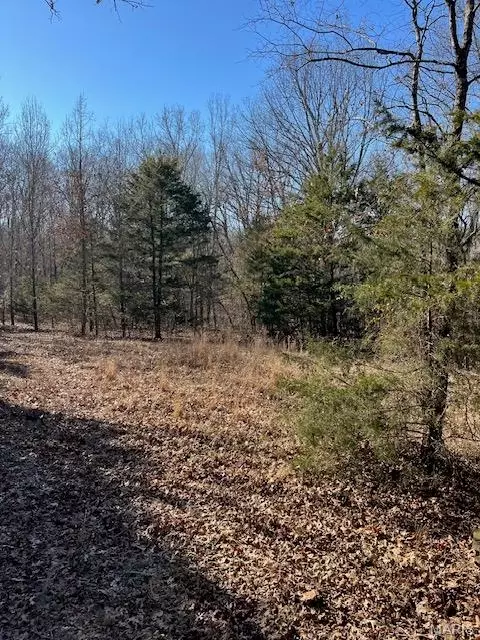 Other - 111 Highway Bb, Iberia, MO 65486 photo 30 of 68