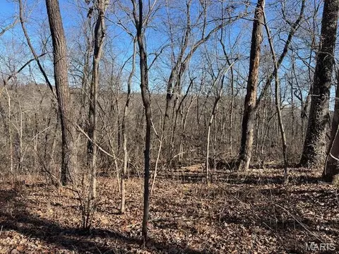 Other - 111 Highway Bb, Iberia, MO 65486 photo 33 of 68