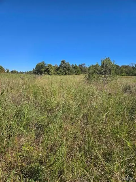 000 County Road 455, Birch Tree, MO 65438 photo 13