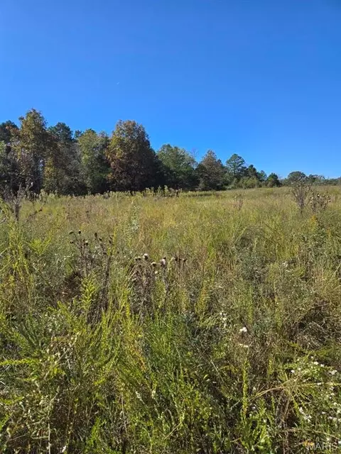 000 County Road 455, Birch Tree, MO 65438 photo 7