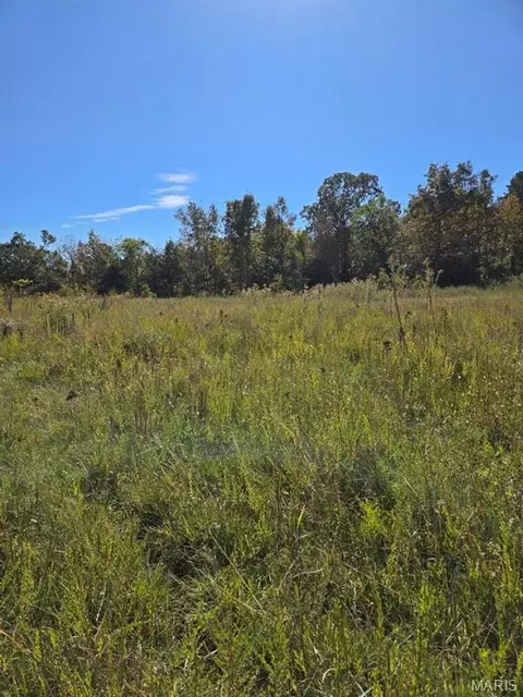 000 County Road 455, Birch Tree, MO 65438 photo 11