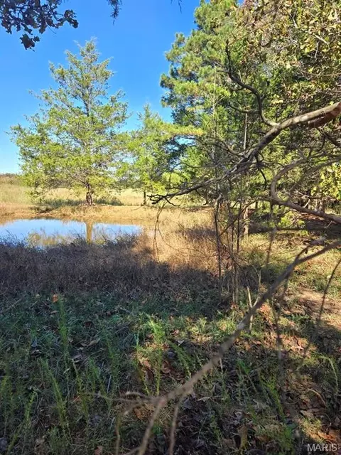 000 County Road 455, Birch Tree, MO 65438 photo 17