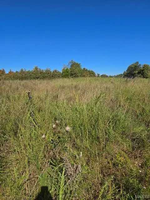 000 County Road 455, Birch Tree, MO 65438 photo 12