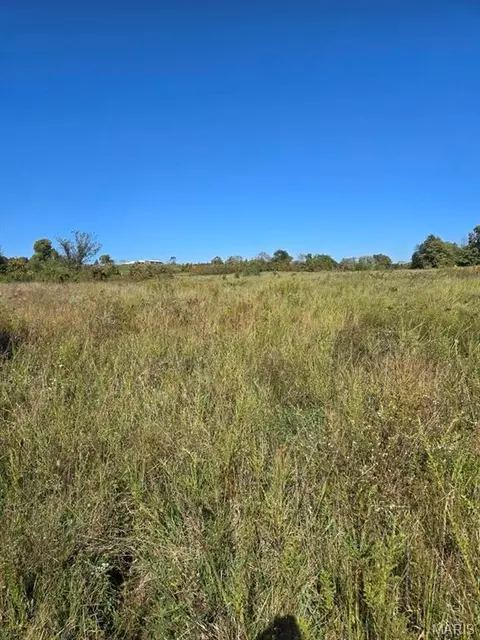 000 County Road 455, Birch Tree, MO 65438 photo 9