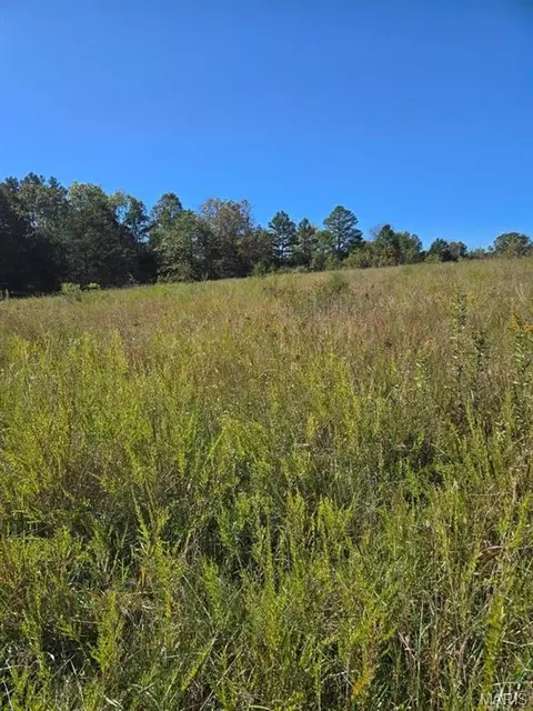 000 County Road 455, Birch Tree, MO 65438 photo 10