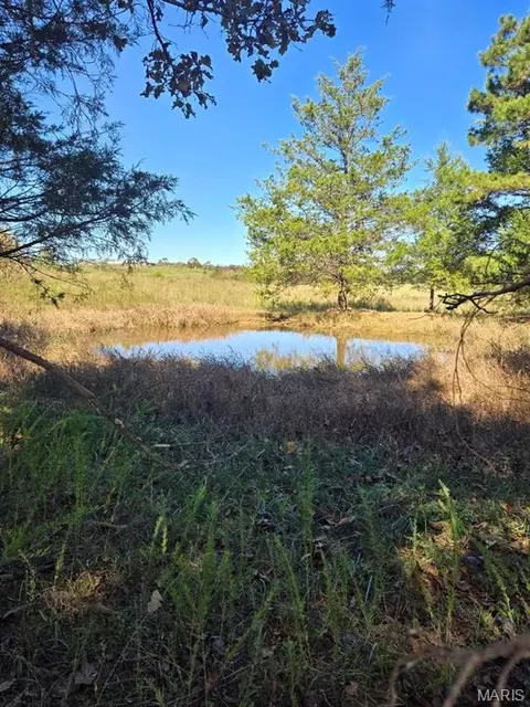 000 County Road 455, Birch Tree, MO 65438