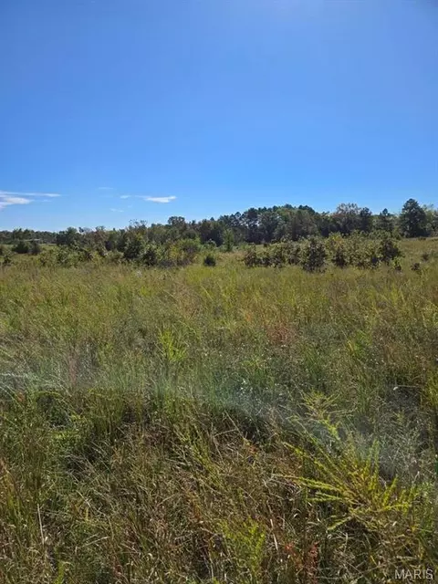 000 County Road 455, Birch Tree, MO 65438 photo 16